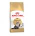 ROYAL CANIN PERSIAN ADULT YETİŞKİN KEDİ MAMASI 2 KG